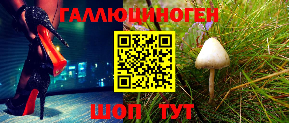 где купить наркоту  Псилоцибиновые грибы мухоморы  Вход с VPN  Сыктывкар 